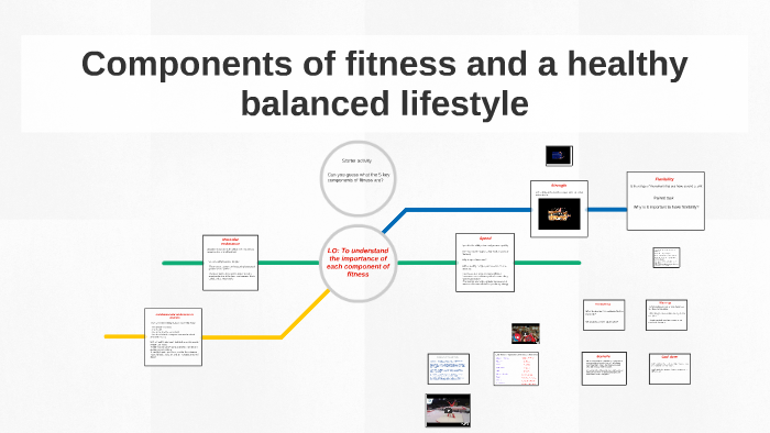 What Are The Components Of A Balanced Lifestyle? What Are The Components Of A Balanced Lifestyle?
