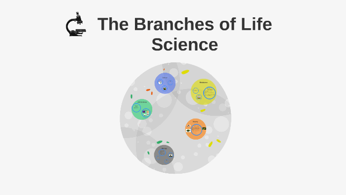 branches-of-life-science-by-jonathan-scibilia-on-prezi