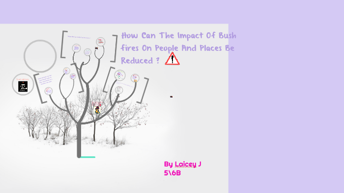 how to reduce the impact from bushfires by Laicey Jane on Prezi