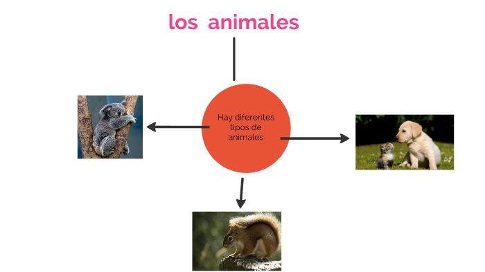 los animales by XIMENA BEATRIZ CORNEJO COTRINA on Prezi