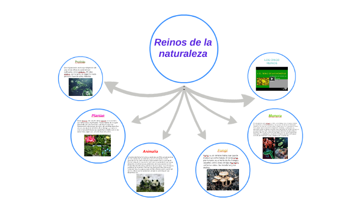 Reinos de la naturaleza by Karla Pezo Torres on Prezi