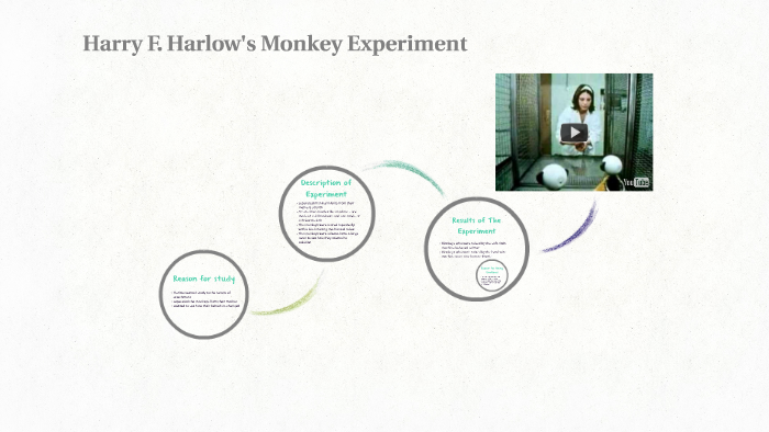 harlow experiment quizlet