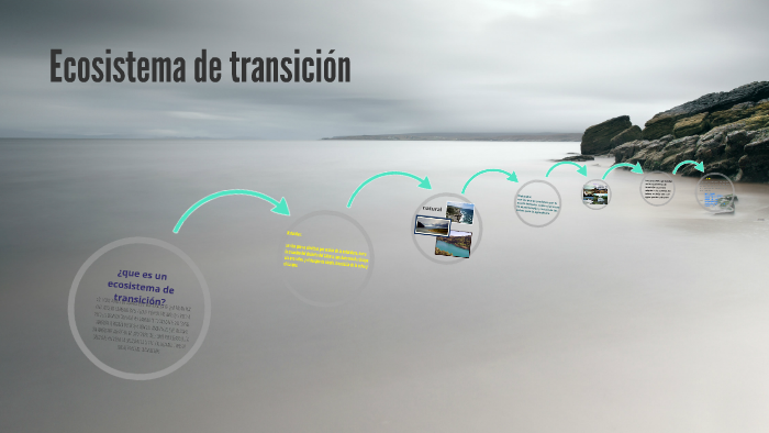 Ecosistema De Transición By Andrea Aulestiarte On Prezi 7132