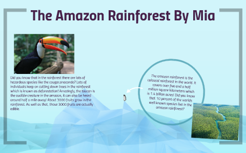 The Amazon Rainforest by U2 Class on Prezi