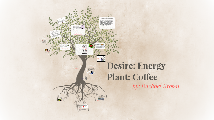 Coffee: Addiction by Rachael Brown on Prezi