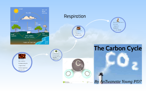 The Carbon Cycle by antwanette young on Prezi