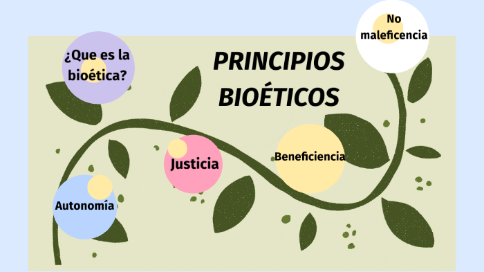Principios BioÉticos By Maria Isabel Lopez Garcia On Prezi 3733