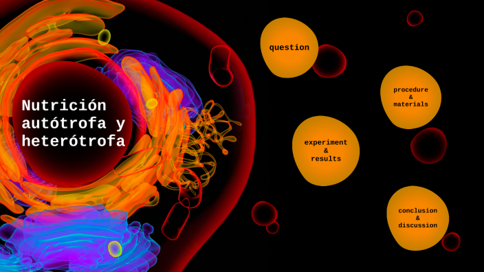 Nutrición Autótrofa Y Heterótrofa By Angela Garcés On Prezi 2054