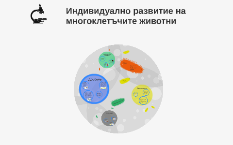 Индивидуално развитие на многоклетъчите животни by Andrea Andreeva on Prezi