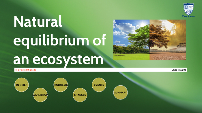 Equilibrium In Nature Natural equilibrium by Maximiliano Castillo Serrano on Prezi