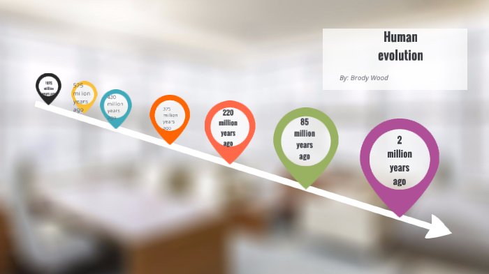 Human Evolution by Brody Wood on Prezi
