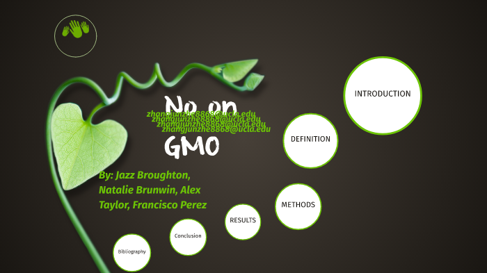 presentation gmo food