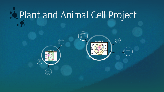 Plant and Animal Cell Project by Robert Patterson on Prezi