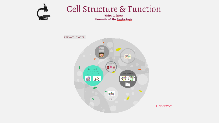 Cell Structure & Function by Vivian Salyer