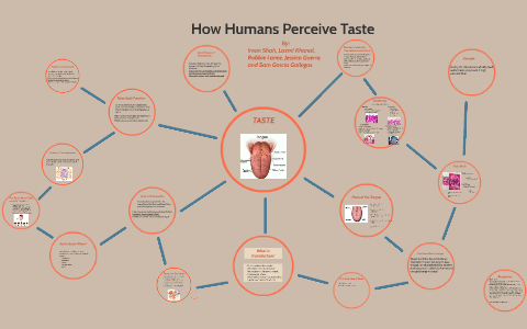 How Humans Perceive Taste by Iman Shah on Prezi