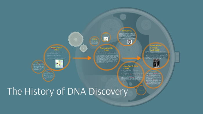 The History of DNA Discovery by Shawniah Osborne on Prezi