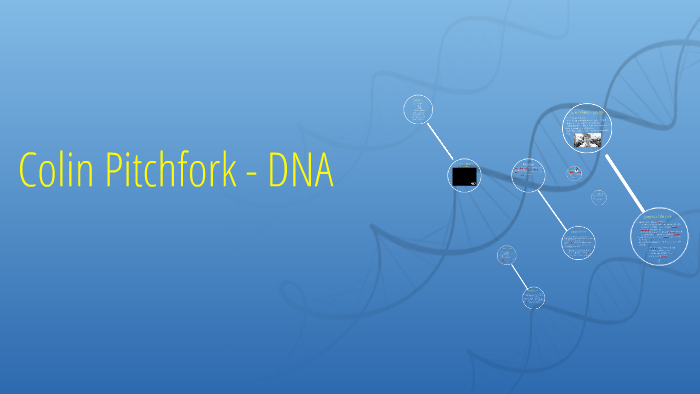 Colin Pitchfork - DNA by dominic marc