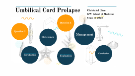 Cord Prolapse Powerpoint Templates Prezi