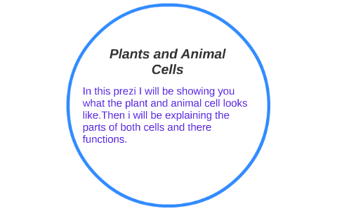 Plants and Animal Cells by Angel Webb on Prezi