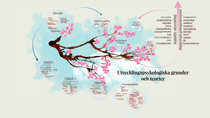 Utvecklingspsykologiska grunder och teorier by E E on Prezi