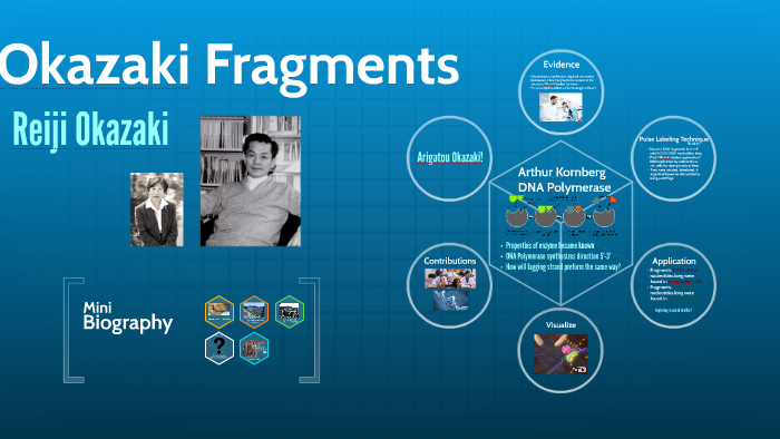 okazaki fragments