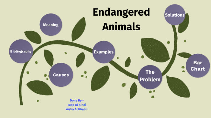 Endangered Animals by Aisha Al Khalili Endangered Animals by Aisha Al Khalili