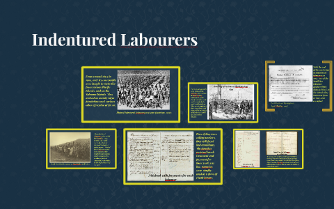 Indentured Labourers by Andy Lu on Prezi