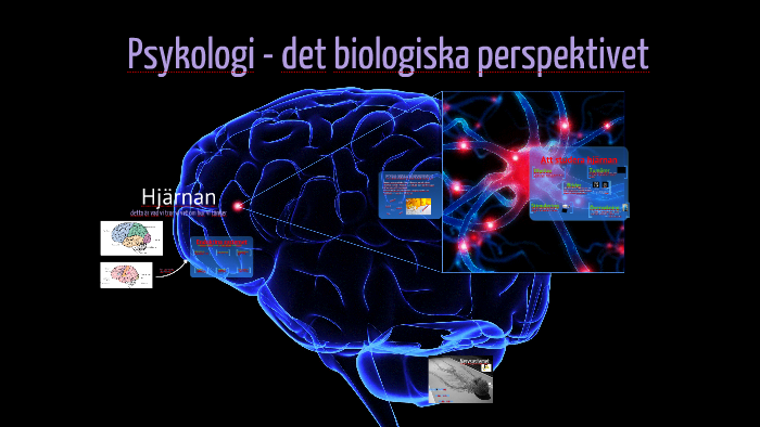 psykologiska experiment