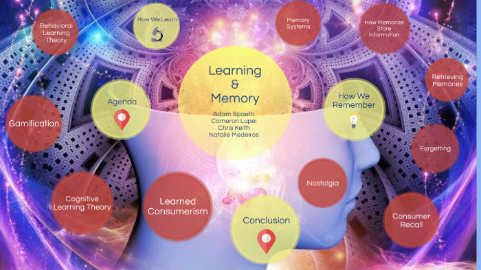 Learning and Memory by on Prezi
