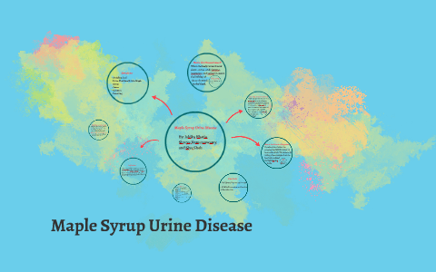 Maple Syrup Urine Disease Diagram