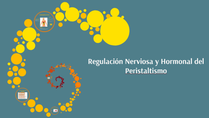 REGULACIÓN HORMONAL Y NERVIOSA by Nohelia Merizalde on Prezi