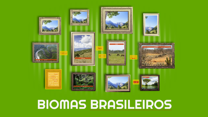 BIOMAS BRASILEIROS by Paola Tibirissa on Prezi