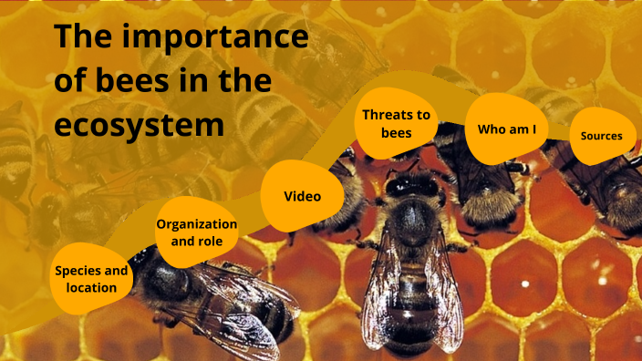 How Do Honey Bees Help The Ecosystem