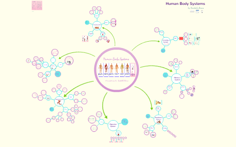 Concept Mapping - Human Body Systems by R Berna on Prezi