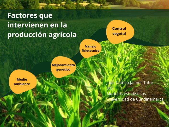 Factores Que Intervienen En La Producción Agrícola By Juan Camilo ...