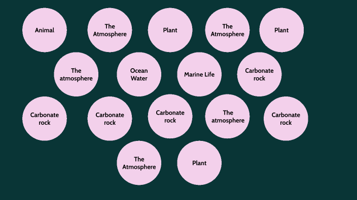 Carbon cycle by Reagan Riemer on Prezi