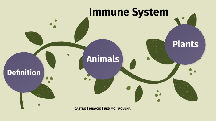 Immune System of Plants and Animals by KATHERINE RESIMO on Prezi