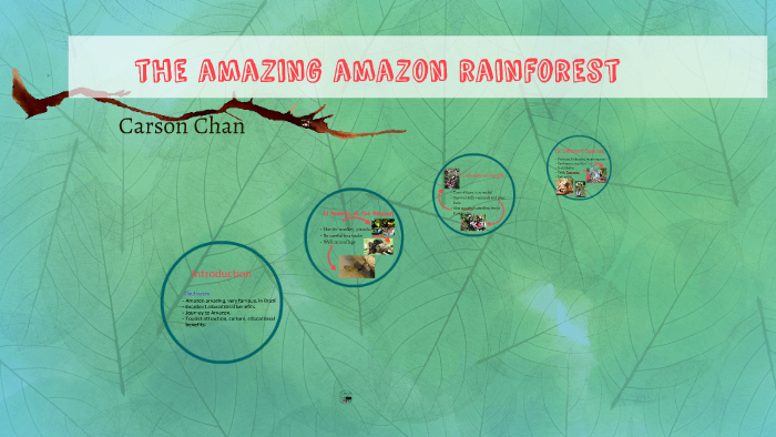 the amazing amazon rainforest by Carson Chan on Prezi