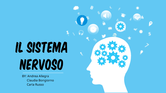 il sistema nervoso by Claudia Bongiorno on Prezi