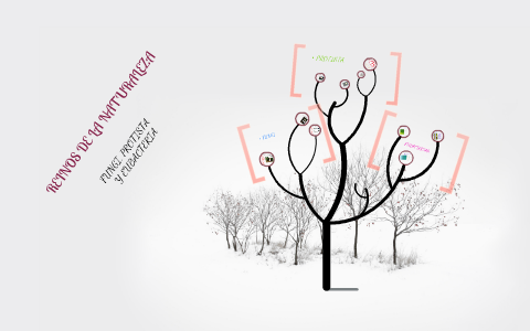 REINOS DE LA NATURALEZA 2 by jacobo ramirez on Prezi