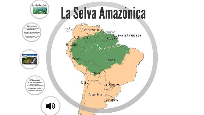 La selva Amazónica by Marion Sannier on Prezi