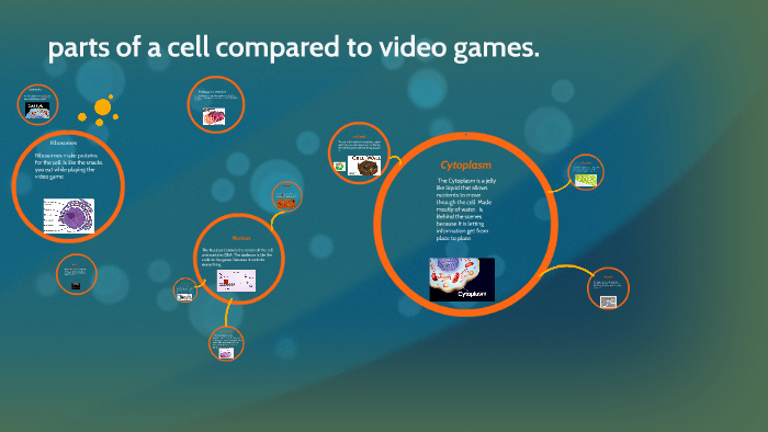 Versus Cell & Games