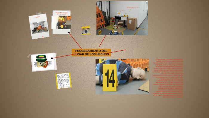 PROCESAMIENTO DEL LUGAR DE LOS HECHOS by Estefania Leon Cortes on Prezi
