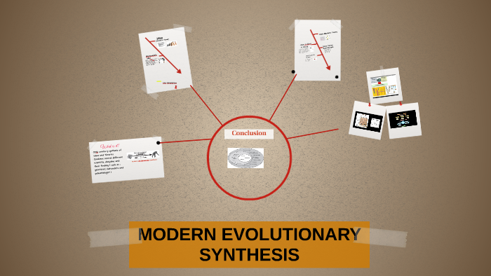 the modern synthesis of evolutionary theory predicts that