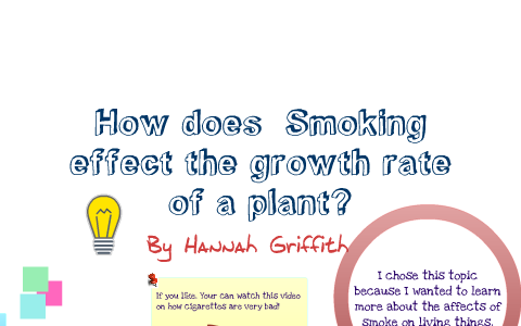 does cigarette smoke affect plant growth science project Does smoking effect the growth rate of a plant by Hannah Griffith on Prezi