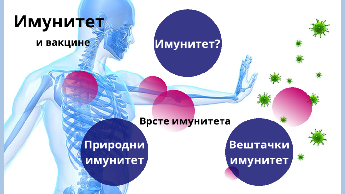 Имунитет и вакцине by Milica Marković on Prezi