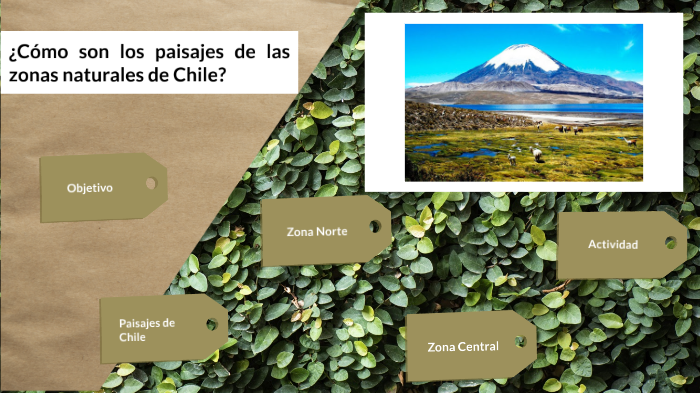 Clase 3: Paisajes zonas naturales. by Valentina Hederra Cataldo on Prezi