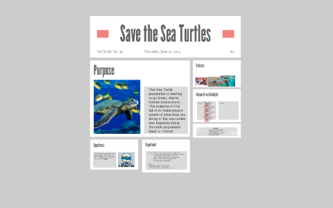 Save the Sea Turtles by Ash H. on Prezi