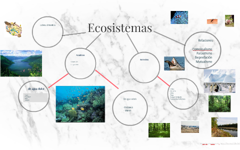 Ecosistemas by Daniel Sillóniz on Prezi