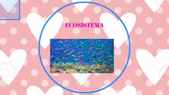 ECOSISTEMA by gabriela lozano on Prezi